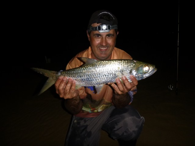 Tarpon are a great sportfish and a real handful on light gear
